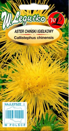 ASTER IGIEŁKOWY WYSOKI ŻÓŁTY 'L