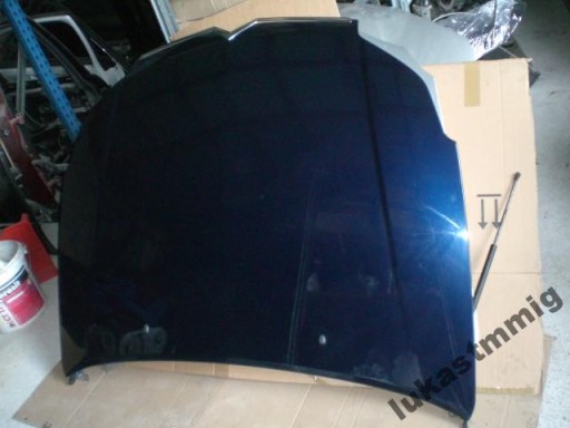 cofano CITROEN C5 lift 7901P3