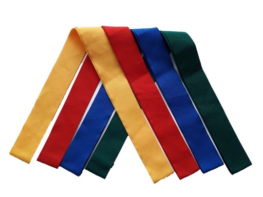 Пасажир гімнастичний 4см х 120см