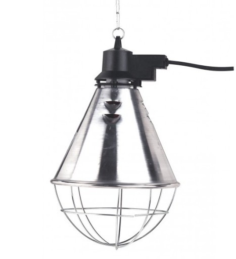 Ogrzewacz Lampa Grzewcza Dla Prosiat Szczeniakow 6684663708 Allegro Pl