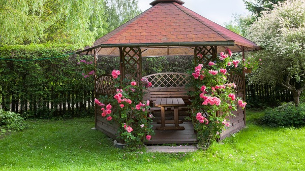 Skladujeme pergolu: prehľad najobľúbenejších popínavých rastlín