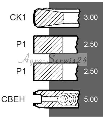 RINGS TLOKOWE ENGINE DEUTZ FAHR DX 0223307 photo 2 - milautoparts-fr.ukrlive.com