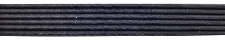 DAYCO COURROIE MULTICANAL 6PK976
