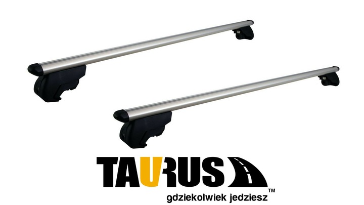 COFFRE TAURUS EASYUP 915 115CM ARGENT photo 2 - milautoparts-fr.ukrlive.com