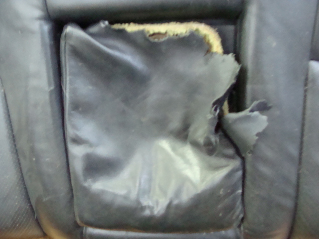 фото №4, Ford ranger 08r диван з pasami кожа комплект