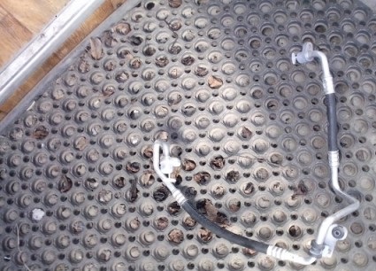 фото №1, Шланг трубка кондиционера renault megane 3 iii